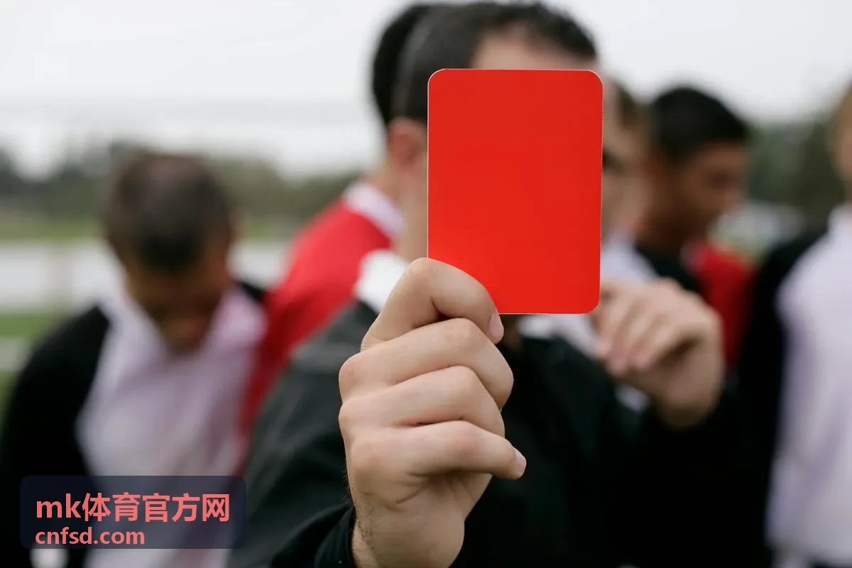 mk体育官方网防守韧性数据曲线示意图