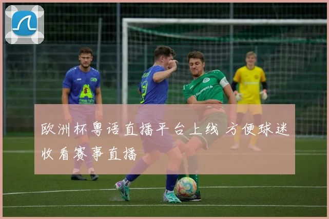欧洲杯粤语直播平台上线 方便球迷收看赛事直播