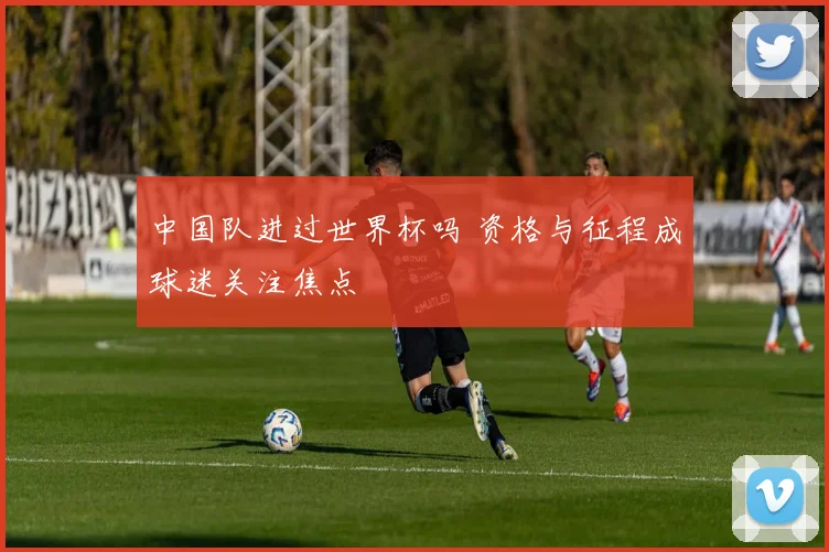 中国队进过世界杯吗 资格与征程成球迷关注焦点