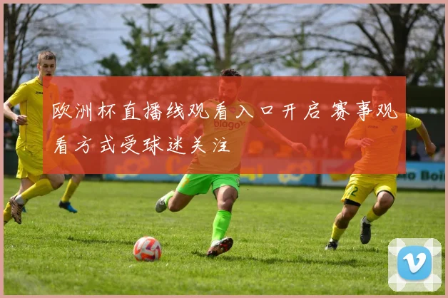 欧洲杯直播线观看入口开启 赛事观看方式受球迷关注