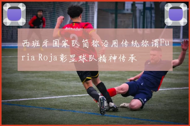 西班牙国家队简称沿用传统称谓Furia Roja彰显球队精神传承