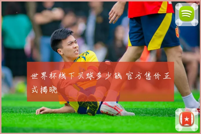 世界杯线下买球多少钱 官方售价正式揭晓