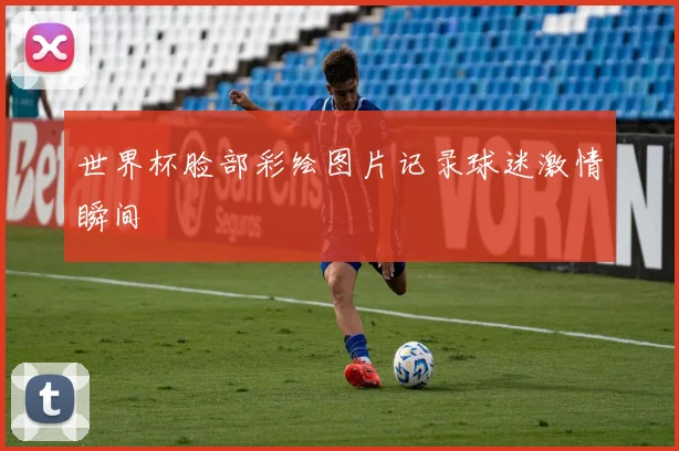 世界杯脸部彩绘图片记录球迷激情瞬间