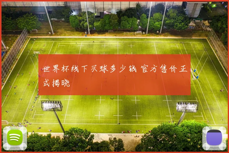 世界杯线下买球多少钱 官方售价正式揭晓